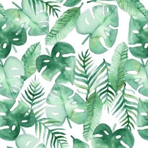 Meet your Posher, Cydnee